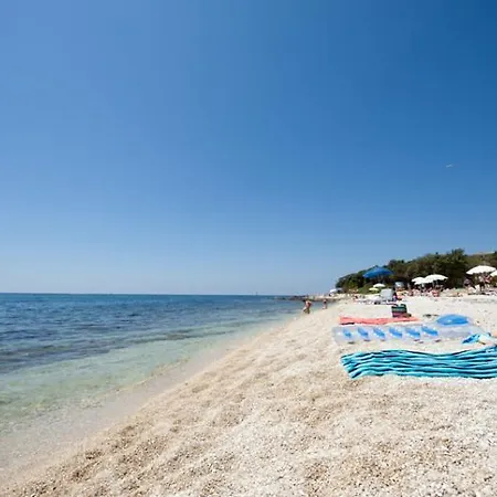 Cvek * Rovinj