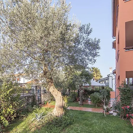 Cvek Rovinj