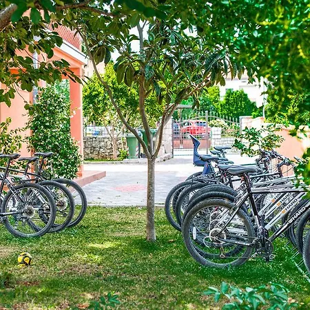 Apartman Cvek *